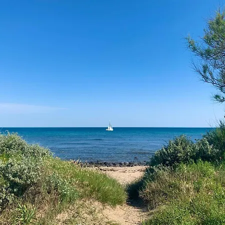 T2 Cap D'agde Bord Roquille Agde
